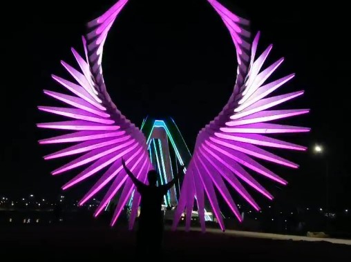 體感互動(dòng)發(fā)光翅膀