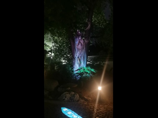 3D Mapping投影-神樹(shù)蘇醒-蘇州好奇數(shù)字科技有限公司