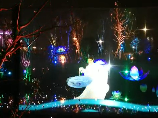 夜游園戶多媒體外紗幕投影